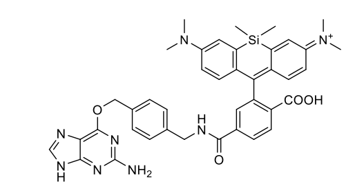硅基罗丹明-苄基鸟嘌呤，SiR650-BG，SiR650-Benzylguanine,SiR650-BG