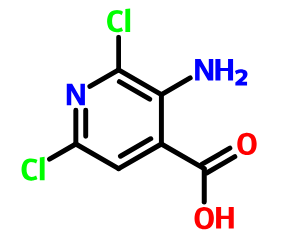 3-氨基-2,6-二氯异烟酸,3-Amino-2,6-dichloroisonicotinic acid