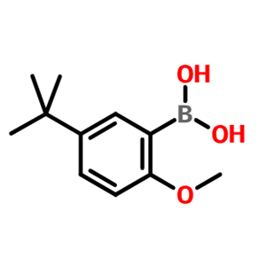 5-叔丁基-2-甲氧基苯硼酸