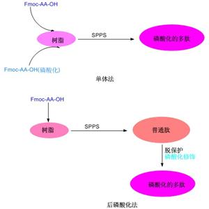 多磷酸化肽标记技术