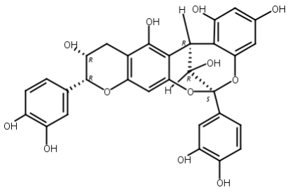 原花青素A6,Proanthocyanidin A6