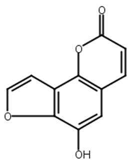 6-Hydroxy-2H-furo[2,3-h]-1-benzopyran-2-one;Heratomol