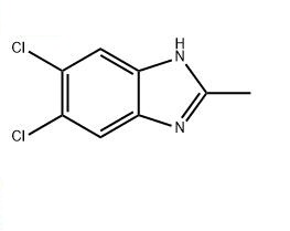 5,6-二氯-2-甲基苯并咪唑,5,6-DICHLORO-2-METHYLBENZIMIDAZOLE