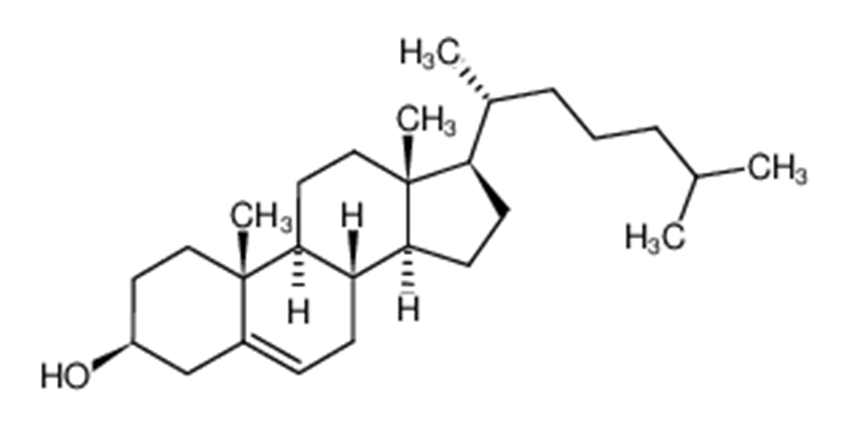 膽固醇（供注射用）