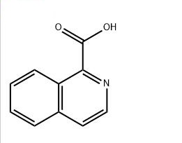 异喹啉羧酸,Isoquinoline-1-carboxylic acid
