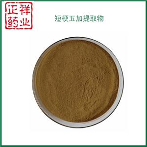 保健食品