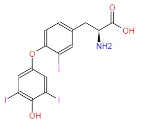 3,3',5'-三碘－L-甲腺原氨酸；碘塞罗宁,REVERSE T3