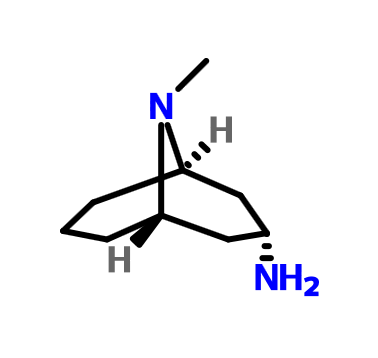 内向-3-氨基-9-甲基-9-氮杂双环[3,3,1]壬烷,endo-9-methyl-9-azabicyclo[3.3.1]nonan-3-amine