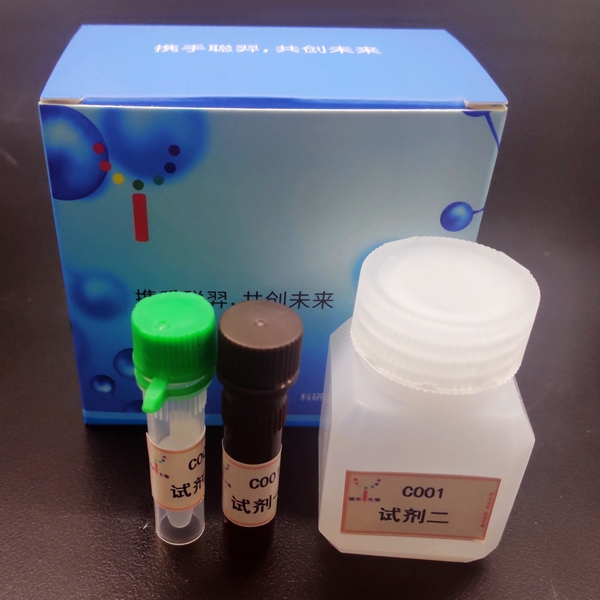 总黄酮含量测试试剂盒,C002-96T