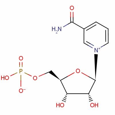 β-煙酰胺單核苷酸,β-Nicotinamide Mononucleotide