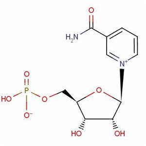 β-煙酰胺單核苷酸