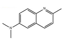 N,N,2-三甲基喹啉-6-胺,N,N,2-trimethylquinolin-6-amine