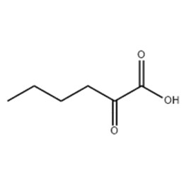 2-氧代己酸,2-oxohexanoic acid