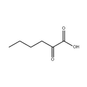 2-氧代己酸,2-oxohexanoic acid
