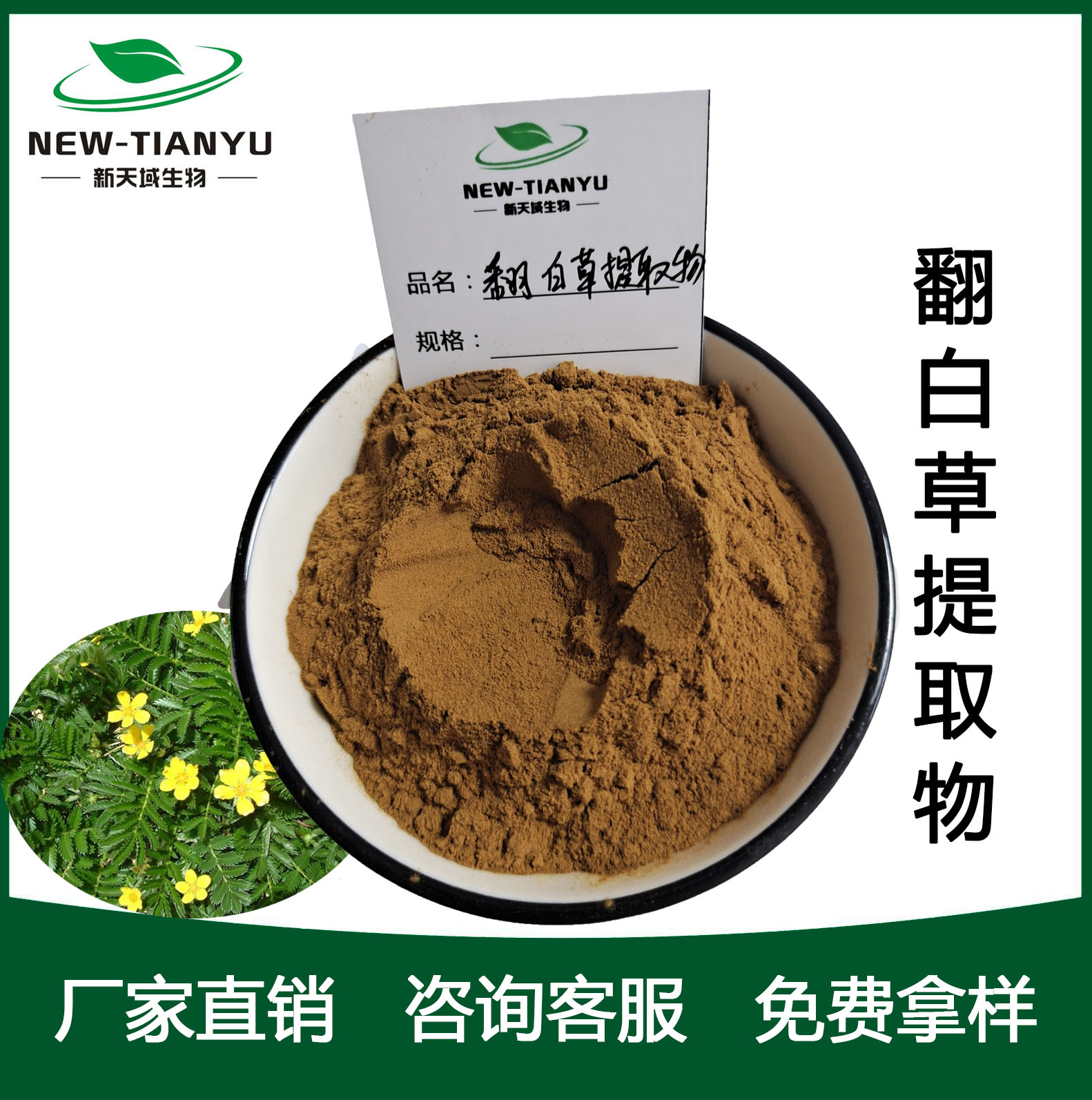 翻白草提取物,Potentillae Chinensis Herba