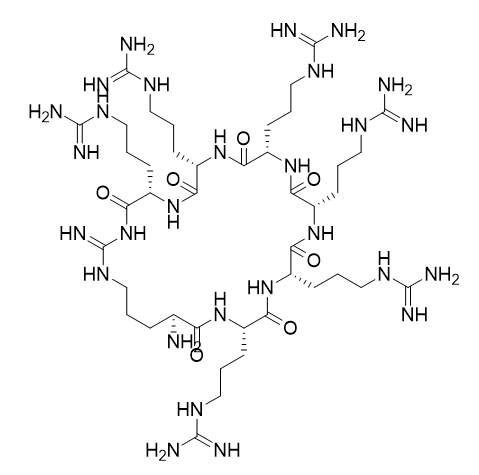 Cyclo(Arg-Arg-Arg-Arg-Arg-Arg-Arg),Cyclo(RRRRRRR)