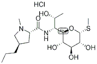 盐酸林可霉素,Lincomycin hydrochloride