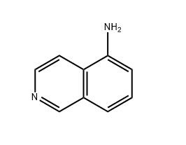 5-氨基异喹啉,5-Aminoisoquinoline