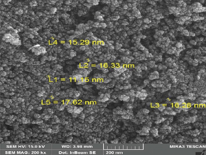 20nm四氧化三铁磁性纳米颗粒,Iron(II,III) oxide