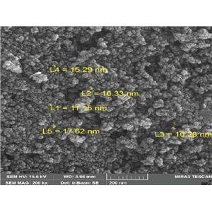 20nm四氧化三铁磁性纳米颗粒,Iron(II,III) oxide