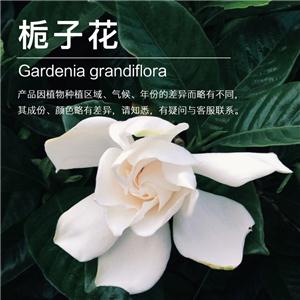 栀子花精油,Gardenia Absolute