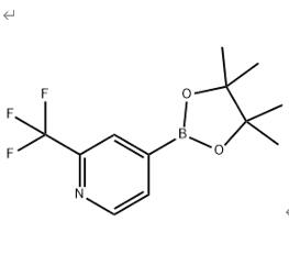 2-三氟甲基吡啶-4-硼酸频哪醇酯,2-Trifluoromethylpyridine-4-boronic acid pinacol ester