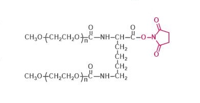两臂聚乙二醇琥珀酰亚胺羧酸酯,2-arm PEG-NHS,2-arm Methoxypoly(ethylene glycol) succinimidyl ester