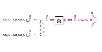 两臂聚乙二醇马来酰亚胺,2-arm PEG-MAL,2-arm Methoxypoly(ethylene glycol) maleimide