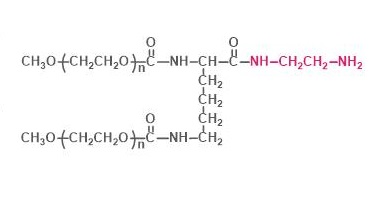 两臂聚乙二醇胺,2-arm PEG-NH2,2-arm Methoxypoly(ethylene glycol) amine