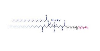 α-氨基-ω-1，2-二硬脂酸-3-磷脂酰乙醇胺聚乙二醇,DSPE-PEG-NH2,α-Amino-ω-distearoyl-sn-glycero-3-phosphoethanolamino poly(ethylene glycol)
