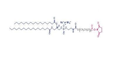 二硬脂酸酰基磷脂酰乙醇胺-聚乙二醇-N-羟基琥珀酰亚胺,DSPE-PEG-NHS,α-Succinimidyl-ω-distearoyl-sn-glycero-3-phosphoethanolamino poly(ethylene glycol)