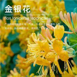 金銀花精油,Honeysuckle oil