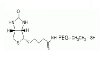 Biotin PEG Thiol,Biotin-PEG-SH