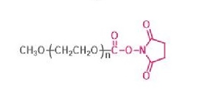 甲氧基聚乙二醇琥珀酰亚胺碳酸酯,mPEG-SC