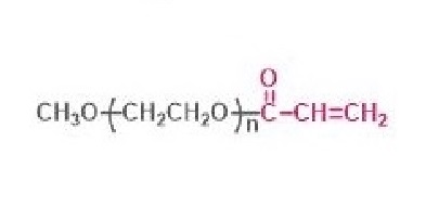 甲氧基聚乙二醇丙烯酸酯,mPEG-AA