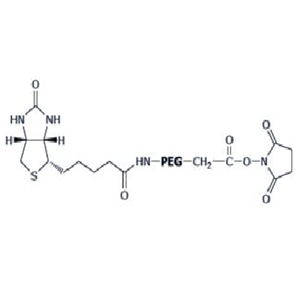 α-生物素-ω-琥珀酰亚胺乙酸酯基聚乙二醇