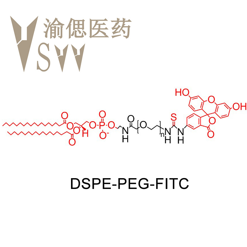 二硬脂?；字Ｒ掖及?聚乙二醇-熒光素,DSPE-PEG-FITC