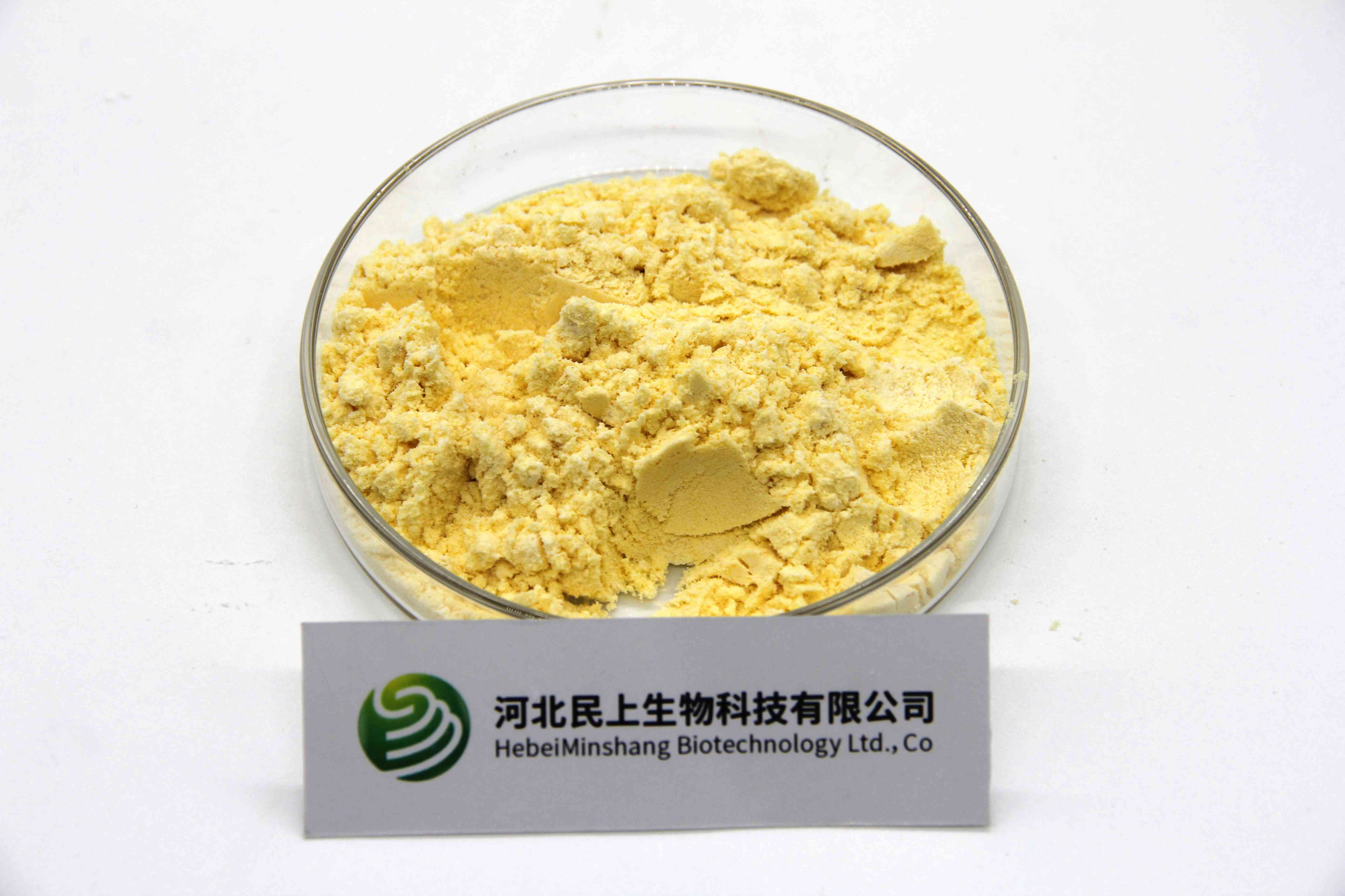 α-硫辛酸,α-Lipoic Acid