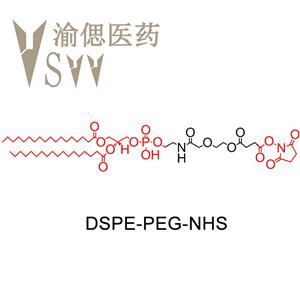 二硬脂酰基磷脂酰乙醇胺-聚乙二醇-琥珀酰亚胺酯DSPE-PEG-NHS