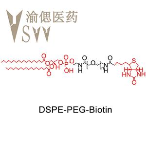 DSPE-PEG-Biotin，二硬脂?；字Ｒ掖及?聚乙二醇-生物素