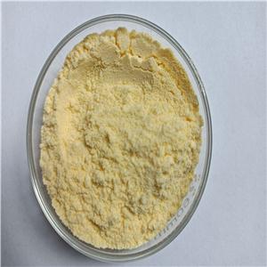 磷脂酰絲氨酸,Phosphatidylserine