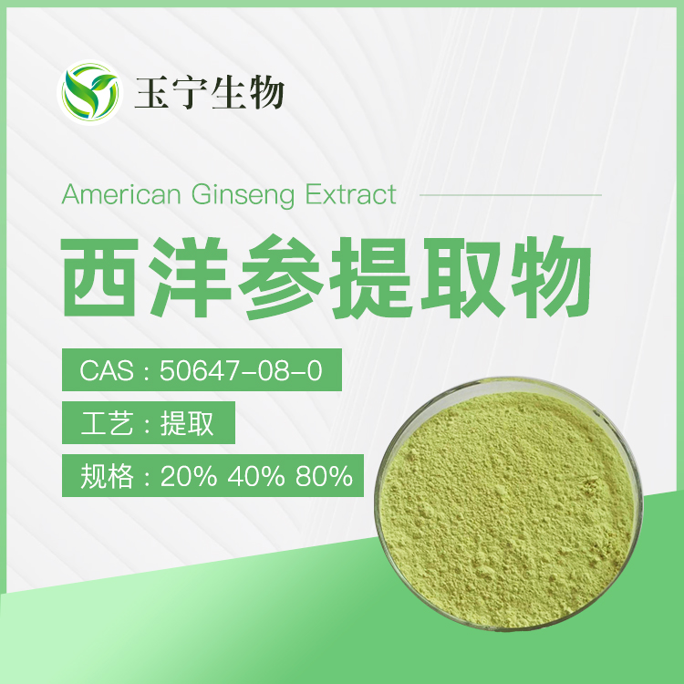 西洋參提取物,American ginseng Extract