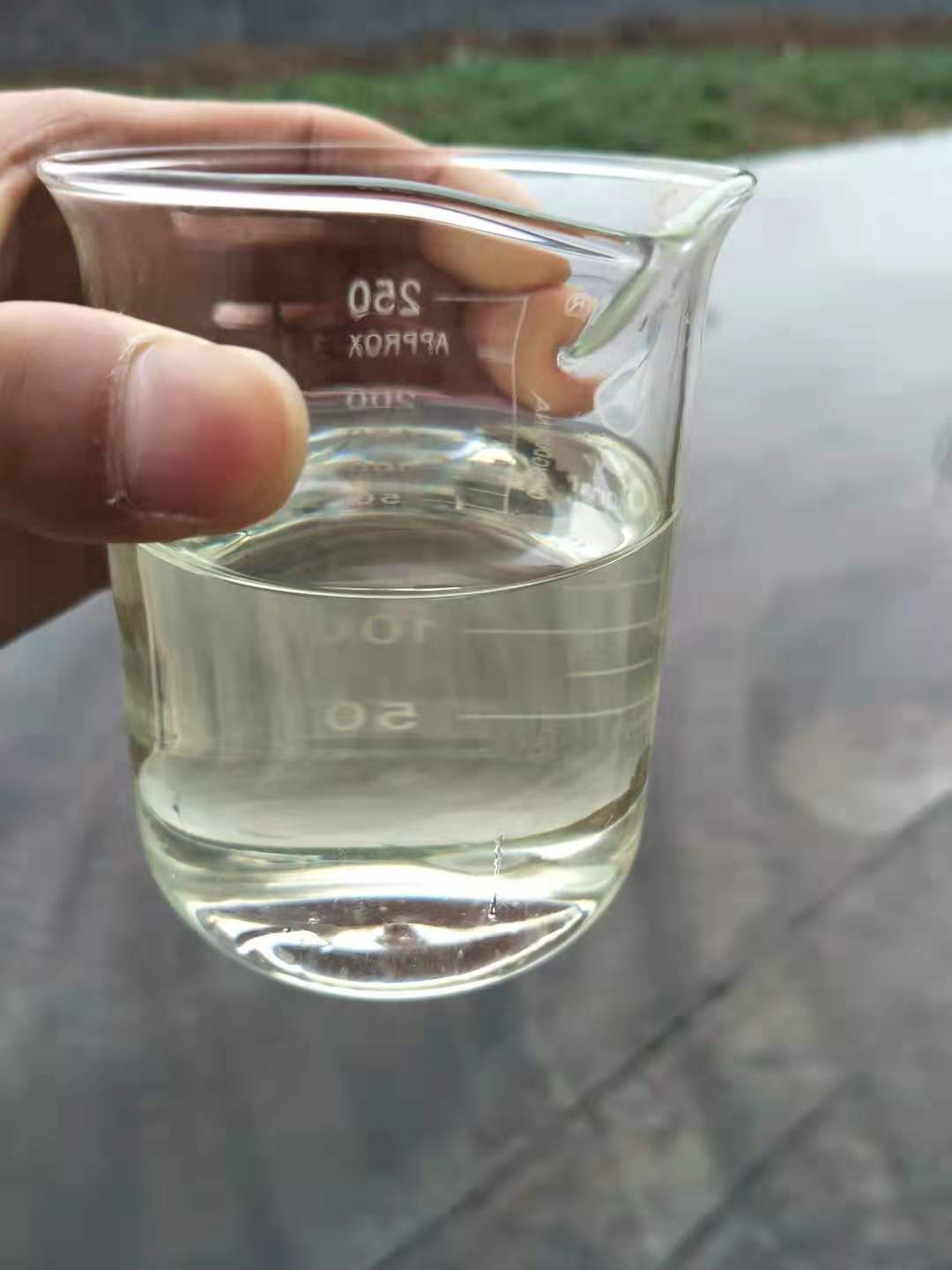 丙酮酸甲酯,Methyl pyruvate