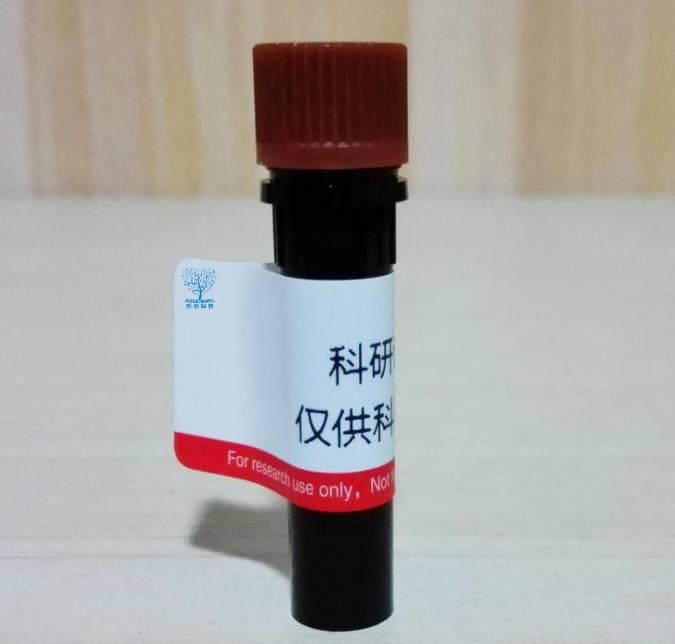 叠氮基-PEG12-叔丁酯,Azido-PEG12-t-butyl ester