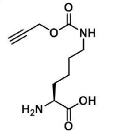 (2S)-2-amino-6-{[(prop-2-yn-1-yloxy)carbonyl]amino}hexanoic acid,(2S)-2-amino-6-{[(prop-2-yn-1-yloxy)carbonyl]amino}hexanoic acid