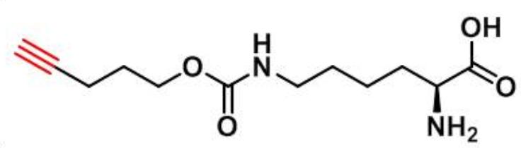 Nε-pent-4-ynyloxy-carbonyl-L-Lysine,Nε-pent-4-ynyloxy-carbonyl-L-Lysine