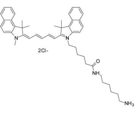 Cyanine5.5 amine