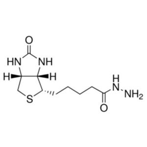 D-生物素酰肼,(+)-Biotin hydrazide