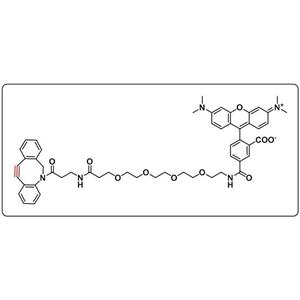 TAMRA-PEG4-DBCO