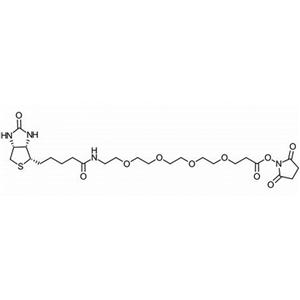 生物素-四聚乙二醇-丙烯酸琥珀酰亚胺酯,459426-22-3，Biotin-PEG4-NHS